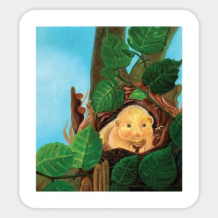 Hazel dormouse (Muscardinus avellanarius) eating hazelnuts Sticker